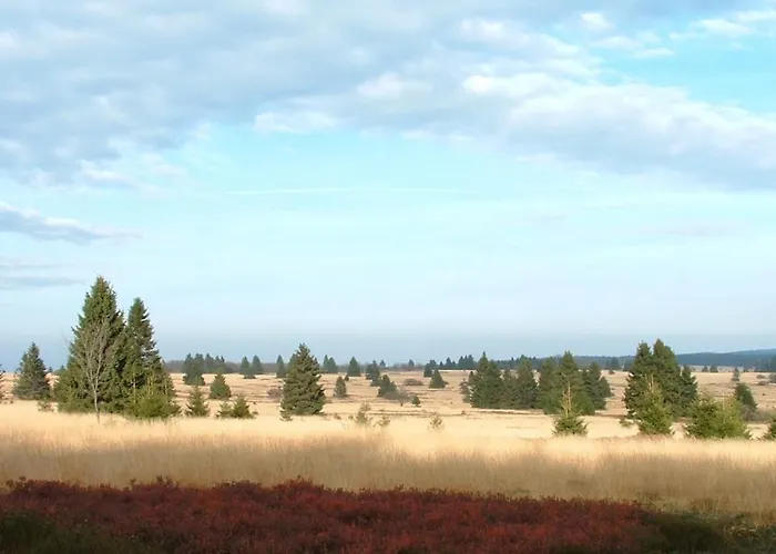 Luxury Spa Hotel - Francofolies